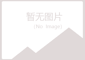 杨陵区夏岚司机有限公司